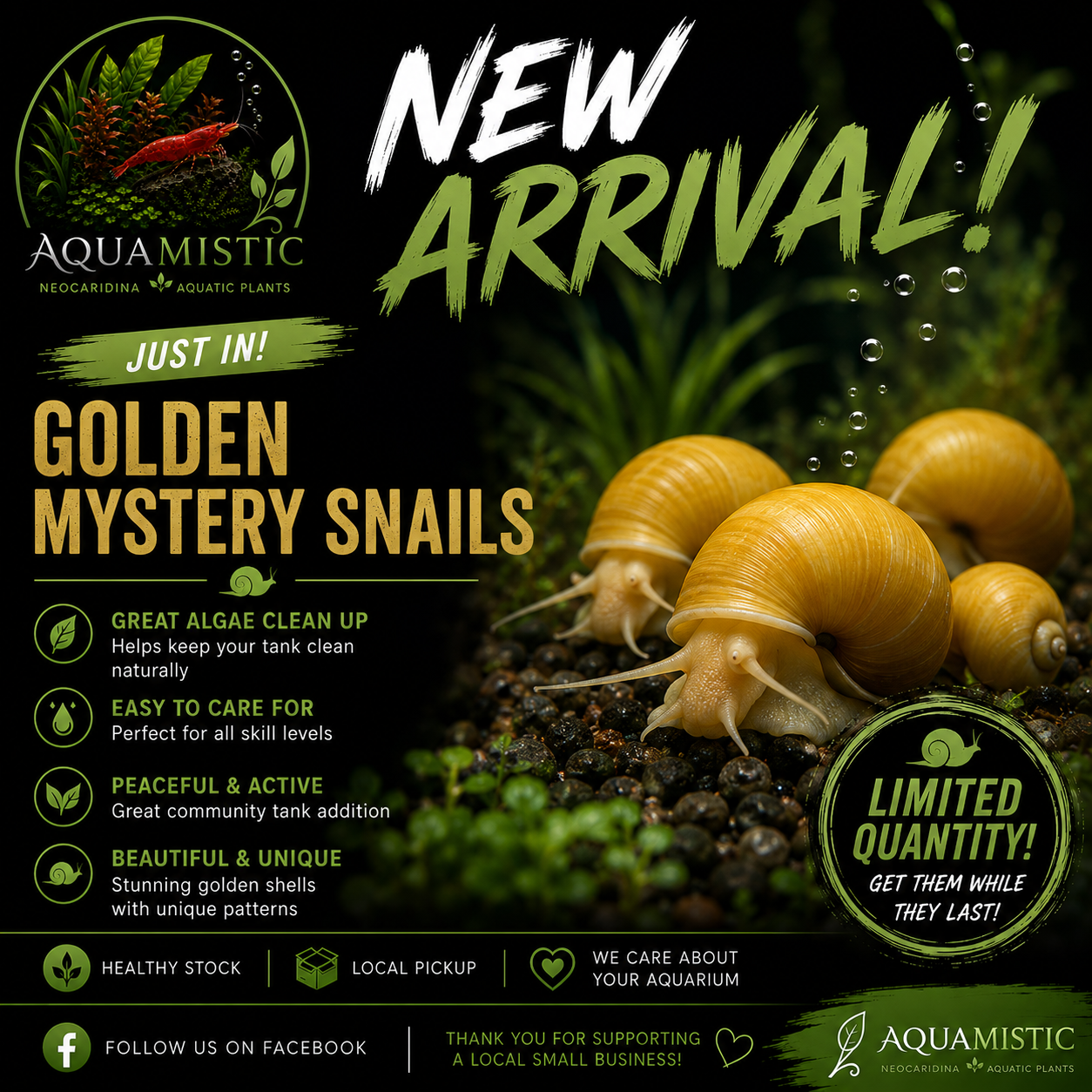 Mystery snail